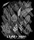 Hand drawn doodle vector line leaves tree nature icon set on Chalkboard eps10 Royalty Free Stock Photo
