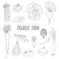 Hand drawn doodle vegetables icons isolated set