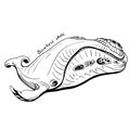 Hand-Drawn Doodle of bow head whale. Vector Illustration - stock vector. Royalty Free Stock Photo