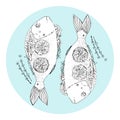 Hand Drawn Dorada Fish with lemon thyme and lavender - Vector