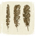 Hand drawn dotted feathers in vintage style Royalty Free Stock Photo