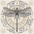 Hand drawn dragonfly with old magic symbols Royalty Free Stock Photo