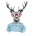 Hand drawn dressed up deer Royalty Free Stock Photo