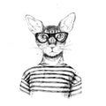 Hand drawn dressed up hipster cat Royalty Free Stock Photo