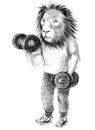 Dressed up lion exercising with dumbbell