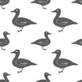 Hand Drawn Duck silhouette seamless pattern. Vector