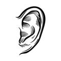 Hand Drawn Ear Sketch Symbol. Vector Listen Element In doodle Style isoleted on white