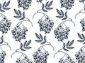 Hand-drawn elderberry vector background in engraved style. Wild berries seamless pattern. Hand drawing. vintage garden berry Royalty Free Stock Photo