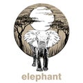 Hand Drawn Elephant, Sketch Graphics Illustration On White Background
