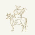 Hand Drawn Engraving Style Cow, Sheep and Chicken Sillhouettes standing on each other like pyramid. Retro drawing vector