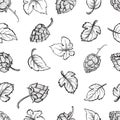 Hand drawn engraving style Hops Seamless pattern. Royalty Free Stock Photo