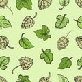 Hand drawn engraving style Hops Seamless pattern. Royalty Free Stock Photo