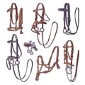 Hand drawn equestrian equipment collection Vector. Various types of bridles.