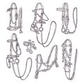 Hand drawn equestrian equipment collection Vector. Various types of bridles.