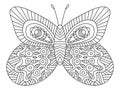 Hand-drawn fantasy butterfly colouring book page for adults vector Royalty Free Stock Photo