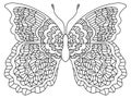 Hand-drawn fantasy butterfly with decorative wings vector illustration Royalty Free Stock Photo