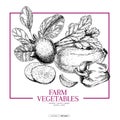 Hand drawn farm vegetables. Beetroot, zuchini, bell pepper, spinach, onion. Vector engraved illustration. Farmers market