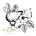 Hand drawn farm vegetables. Eggplant,garlic, onion, tomato, spinach. Vector engraved illustration. Farmers market plants