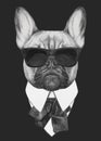 Hand drawn fashion Illustration of French Bulldog.