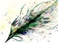 Hand drawn feather and drops on paper texture, varicolored tint