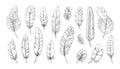 Hand drawn feather. Engraved quill tattoo. Ink writing pen vintage drawing. Old bird feathering silhouettes. Goose or Royalty Free Stock Photo