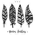 Hand drawn feathers set .