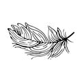 Hand drawn feathers. Vector doodle illustration. Isolated on white background