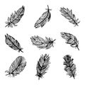 Hand drawn feathers. Vector doodle illustration. Isolated on white background for pettern design