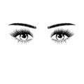 Hand drawn female eyes silhouette with eyelashes and eyebrows. Vector illustration isolated on white background