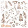 Hand drawn fir and pine branches, fir-cones. Christmas and winter holidays doodle Royalty Free Stock Photo