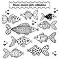 The hand drawn fish collection is isolated on white background Royalty Free Stock Photo