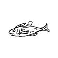 Hand Drawn fish doodle. Sketch style icon. Decoration element. I