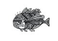 Hand drawn fish of doodling style with old ethnic indian motives. Black and white drawing illustration