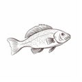 Hand-drawn Fish Illustration With Rough-edged 2d Animation Style Royalty Free Stock Photo