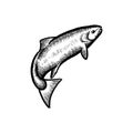 Hand drawn fish logo vector inspiration, Fishing logo design inspiration Royalty Free Stock Photo