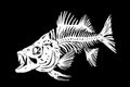 Graphical fish skeleton isolated on black background, vector illustration,paleontology