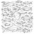 Hand drawn fish Royalty Free Stock Photo