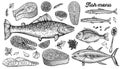 Hand drawn fishes and fish steak, vector illustration. Salmon, dorado, tuna and anchovies with spices, lemon, parsley.