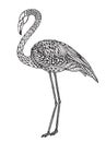 Hand drawn flamingo bird in ornate fancy doodle style. Royalty Free Stock Photo