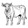 Hand-drawn, flat, vector cow outline design Royalty Free Stock Photo