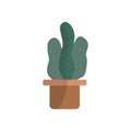 Hand drawn flat vector mini cactus in the potted.