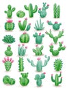 Hand drawn fllat textured illustration of cacti without pots , home plants, succulents. Royalty Free Stock Photo