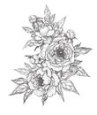 Hand Drawn Floral Bunch with Peony Flowers, Buds  and Leaves Royalty Free Stock Photo