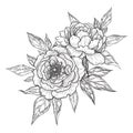 Hand Drawn Floral Bunch with Peony Flowers Royalty Free Stock Photo