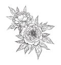 Hand Drawn Floral Bunch with Peony Flowers Royalty Free Stock Photo