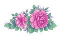 Hand Drawn Floral Bunch with Pink Roses and Different Leaves Royalty Free Stock Photo
