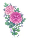 Hand Drawn Floral Bunch with Pink Roses Royalty Free Stock Photo