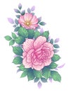 Hand Drawn Floral Bunch with Pink Roses and Leaves Royalty Free Stock Photo