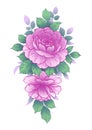 Hand Drawn Floral Bunch with Pink Roses Royalty Free Stock Photo