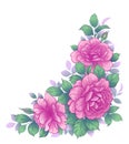 Hand Drawn Floral Bunch with Pink Roses Royalty Free Stock Photo